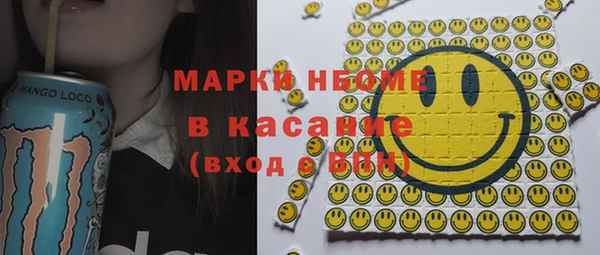 прущие грибы Пестово